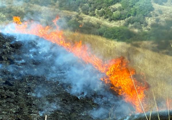 ������μ������������ʴѤ�ݻ����뤿��λ��Ƥ����Ф����𸶤ˤʤ���������������Ի��Ǥ����ʢ����᡼����