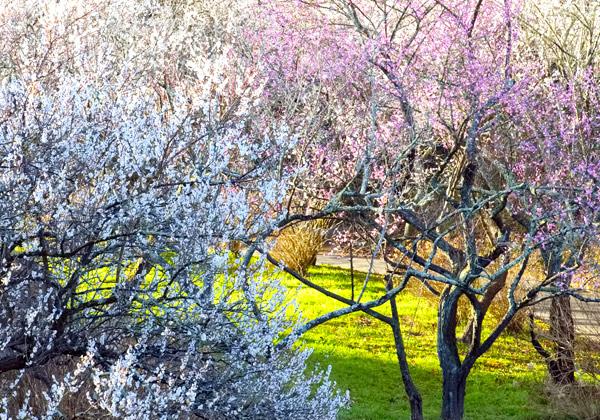 [ʡȯ] ͱȾβźȵ߱ȥХޥЧơ