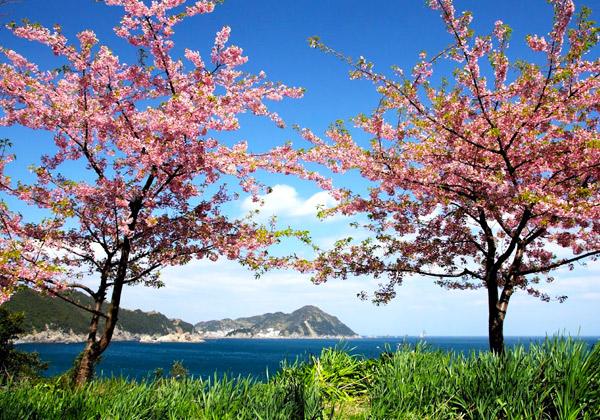 ȶȲźΥȥ饹Ȥŵ׸ء