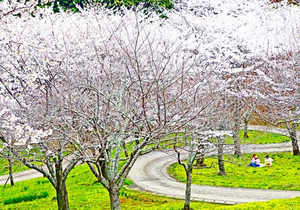 ÆüËܤÎÅÔ»Ô¸ø±àÉ´Áª¡ÖÅ·ÃÏ»³¸ø±à¡×¤Ç½Õ·Ê¿§ËþµÊ¡ª