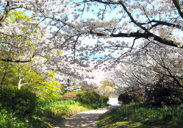 Ìó60¼ï700Ëܤκùºé¤¯¡ÖÇòÌî¹¾¿¢Êª¸ø±à¡×¤â´Ñ¸÷¡ª