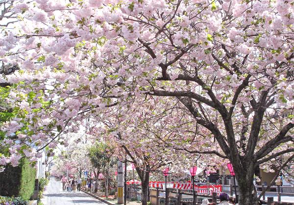 ��3��Х���ι���۽դ��ٺ餭Ȭ�ź��ᤰ��ȥ���������1�ѥå����ڻ��դ����ɤξ���