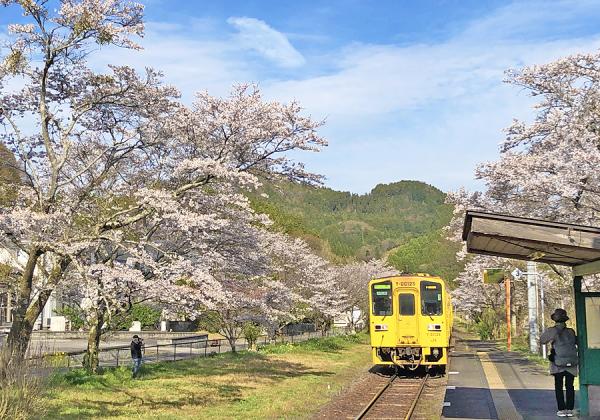 ���αؤ�����αؤޤ�JR������������������֤���ʬ��