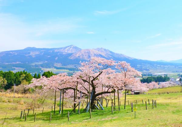 ���̶彣�϶�ȯ��۴Ѳ�������ɺ�����ȹ⿹ƽ�����ܺ���˭����3�ʼ������å��С�