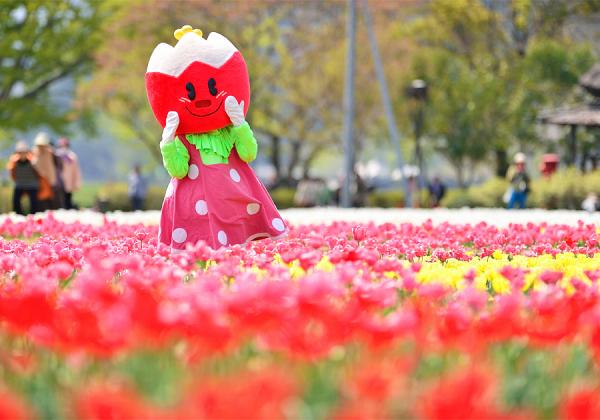 ���������塼��åץե������۸�������˲֤�ź����褦�˿��Ȥ�ɤ�¿��¿�ͤʥ��塼��åפ��餭������ޤ����ʢ����᡼����