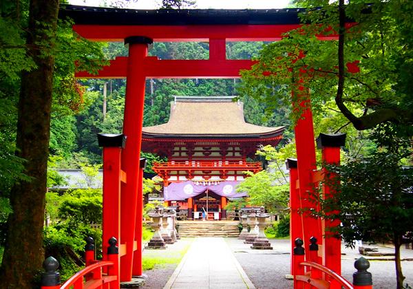 ���ϼ��ɸ��450m�˹�����ŷ�����Ϥˤ���ð����������ҡ�1,700ǯ�ʾ������Ϸ����줿��˿������Ҥǡ����٤Ƥκ����㱤����Ȥ��ƿ����Ƥ��ޤ����ֵ��˻��Ϥ����Ȼ���ƻ�פȤ��ƹ���ȶ��������仺�ˤ���Ͽ���졢���ο�����ʷ�ϵ���ˬ���͡���̥λ���ޤ�����������ʸ����Ρ�ϰ��פ�Ϥ��ᡢ��¿����ʸ���⤬��������Ƥ��ꡢˬ���͡��˿������ݤ�Ĥ��ޤ���