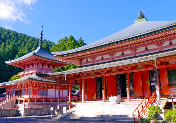 ��û��������Τ˷������Į�ֺ��ܡפ򥬥��ɤȥ֥黶��3����