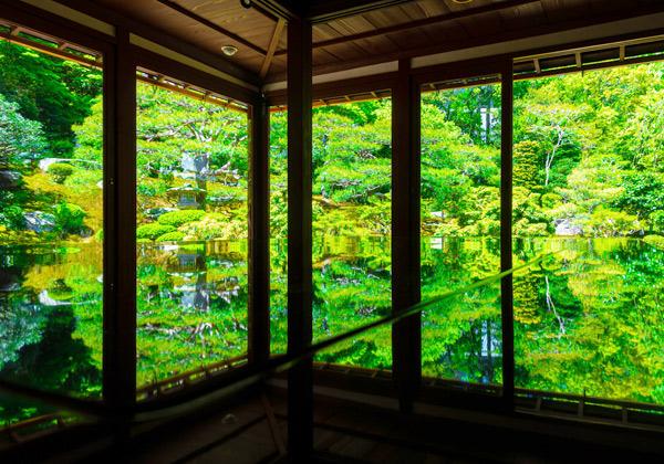 ��û�������ι��Τα���˷��Τ˷�פΰ�ġ���3,300ʿ���᡼�ȥ������ϡ�Ȭ���һ���ڷʤ��ۻ�����������ή�������줿�ʿ塦�줬�ۤ��졢���̾���˻��ꤵ��Ƥ��껶����ڤ��ळ�Ȥ��Ǥ��ޤ������դ���ε��ᡢ���ڤ��ݤ��Ф����䤫�ʽ�Ƥʤɡ��͵����̤����������������ޤ��˿�������ޤ����粰���֤��줿����˱Ǥ���������̤�ȿ�ͻ��Ƥ����Ƕ�SNS�ǿ͵��򽸤�Ƥ��ޤ���