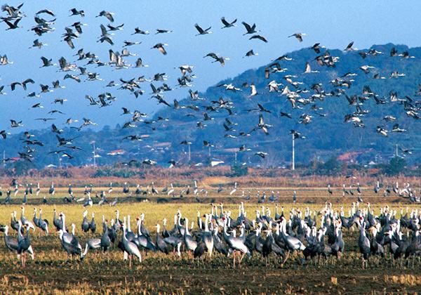 �ĥ�����Ϥ���Ȳ��ߡ�2���ܤϽп�Ѹ������ʡ�