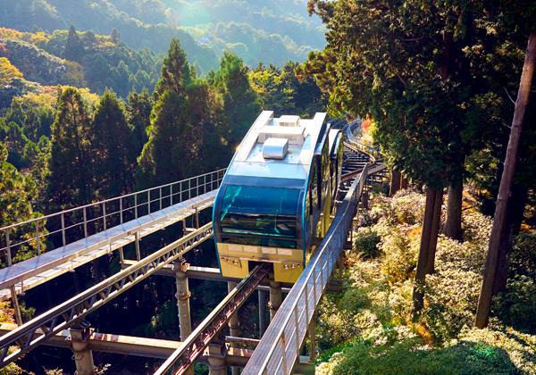 ��ɧ���������ץ������滶��ȱ�ɧ�����ܸ���ʲ���Ⱦ��и����Ҹ�õˬ