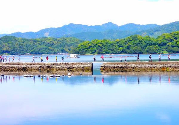 ���Ϥ��ڡ������̤˶��Τ褦�˱Ǥ�ֽ����פˤ⡪