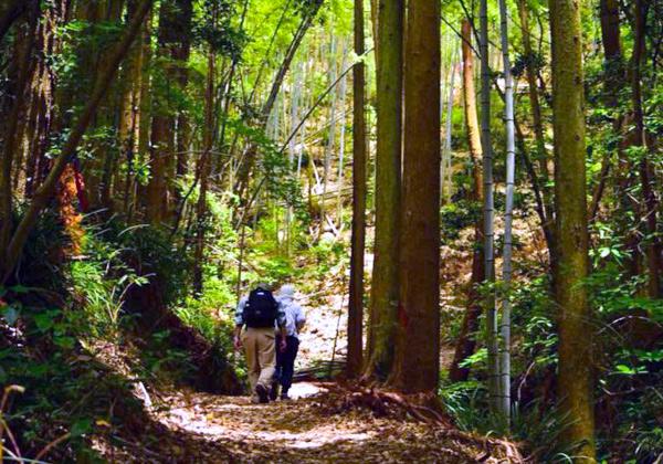 ��������ޤ줿������ʤ����ˤ夦���ޡˤ��⤯��