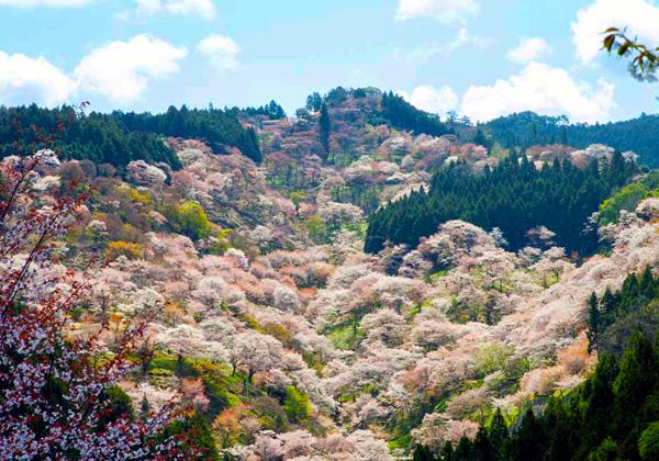 ���¤�̤�̾������ �������Ļ��