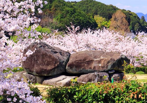 ÀÐÉñÂæ¸Åʯ¤Ï¡¢ÌÀÆü¹á¼Åç¾±¤Ë½êºß¤¹¤ë¼«Á³ÀФεðÀФòÀѤ߾夲¤¿²£·ê¼°Àм¼Ê¯¤Ç¤¹¡£¹ñÆâ¶þ»Ø¤ÎµðÀÐʯ¤Ç¡¢¸½ºß¡¢¸Åʯ¤Ï¹ñ±ÄÈôÄ»Îò»Ë¸ø±àÆâ¤Ë»ËÀ׸ø±à¤È¤·¤Æ¤¢¤ê¡¢Ê¯µÖÅÚ¤¬¤Ê¤¤¤³¤È¤Ë¤è¤êÀм¼¤ÎÁȤßÊý¤¬¤ï¤«¤ë¤³¤È¤«¤é¡¢ÈôÄ»¤Î¥é¥ó¥É¥Þ¡¼¥¯ÅªÂ¸ºß¤È¤Ê¤Ã¤Æ¤¤¤Þ¤¹¡£