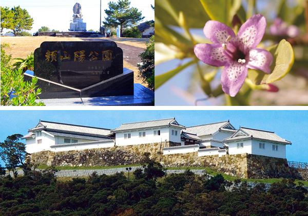 ŷ����ǰʪ�ϥޥ�����祦�Ѿޤ��ٲ����׸��ؤ⡪