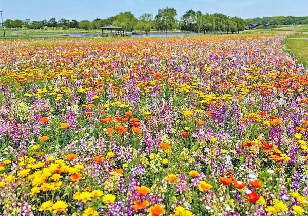 ����Ȣ�Τ���Ȫ����������޸幭�����ե�������ۡ�ͥ���ʥХ餬�餭�����ж�ʸ�����󥿡��ۡ��Τ�ͤ��Τ��̣��ݥԡ���ۤ�Ѿޢ��ʢ����᡼����