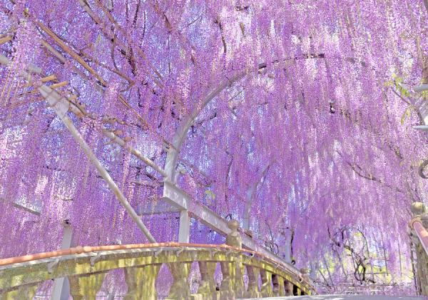 ��ʡ�����������ա��滳����ƣ�ȵ�α�ƻԤĤĤ��α�ȥ���������1�ѥå����ڻ��դȡ�