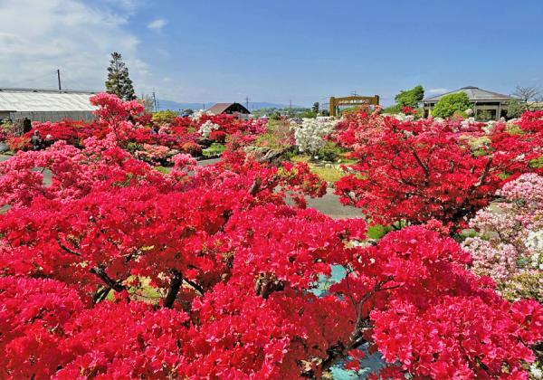 ��ʡ�����������ա��滳����ƣ�ȵ�α�ƻԤĤĤ��α�ȥ���������1�ѥå����ڻ��դȡ�