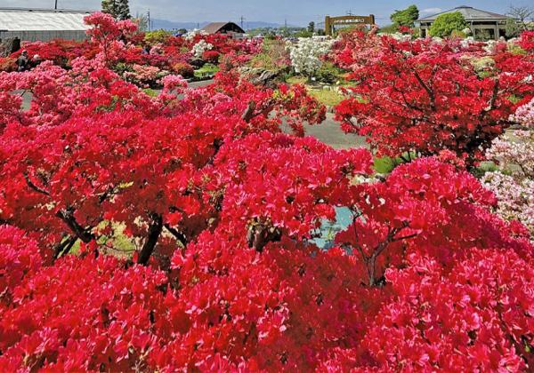 ��ʡ�����������ա��滳����ƣ�ȵ�α�ƻԤĤĤ��α�ȥ���������1�ѥå����ڻ��դȸ��Υǥ����ȥƥ���������