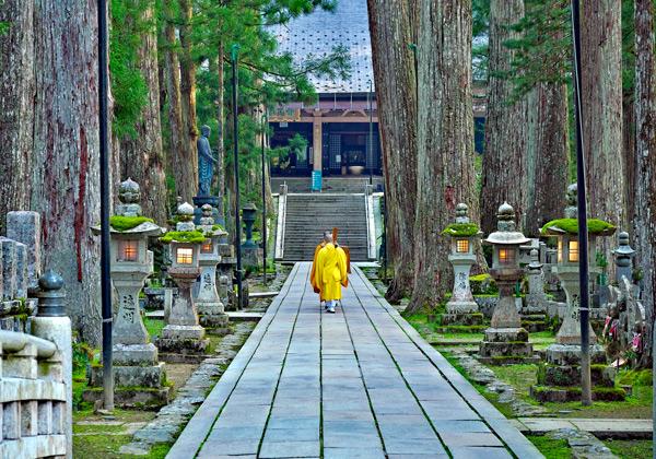 ��ˡ��դ����ꤵ�줿�����ϡ����α�������Ω��³����ƻ�ˤϡ���ˤ�̾���ڤ���̾���ζ����㤬�¤ӡ����ΰ�ĤҤȤĤ˿���ʪ�줬��ޤ�Ƥ��ޤ����ܥĥ����Ǥ����祬���ɤ�Ʊ�Ԥ����ĿͤǤϸ���Ȥ���������ˤ�΢¦�䡢����ο��Ĥ�ʬ����䤹��ɳ�򤭤ޤ�����ԥڡ����ˤ���θ������ǫ�ʰ���ǡ���Ū���񿴤��������ʤ��顢�������벺�䤫�ʤҤȤȤ��򤪲ᤴ������������