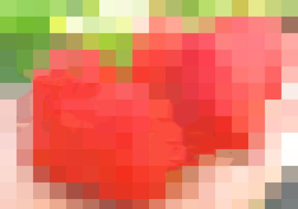 ¥Ó¥¿¥ß¥óC¤¬¤È¤Ã¤Æ¤âËÉ٤ʥե롼¥Ä¤Ë²Ã¤¨¤Æ¥Ò¥ß¥Ä¤Î¿©¤Ùʪ¤È¹ç¤ï¤»¤Æ2¤Ä¤Î¤ªÅÚ»ºÉÕ¢ö¡Ê¢¨¥¤¥á¡¼¥¸¡Ë