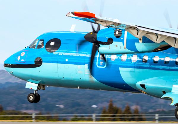 ŷ�𥨥��饤��ǹԤ������륫�����å��󥰤Ȥ��礳�äȾ�ŷ��