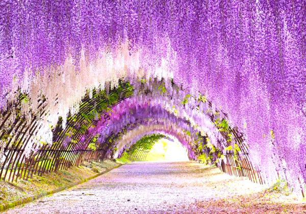 ����ƣ���ƣê�ȥ�ͥ�ȵ���βֺ餯�����ʪ����