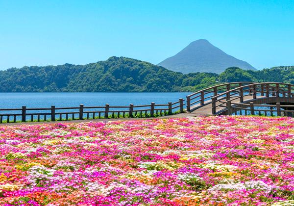 ��ʹ�٤ȵ���β֤������������ĸСפˤ⤴���⡪