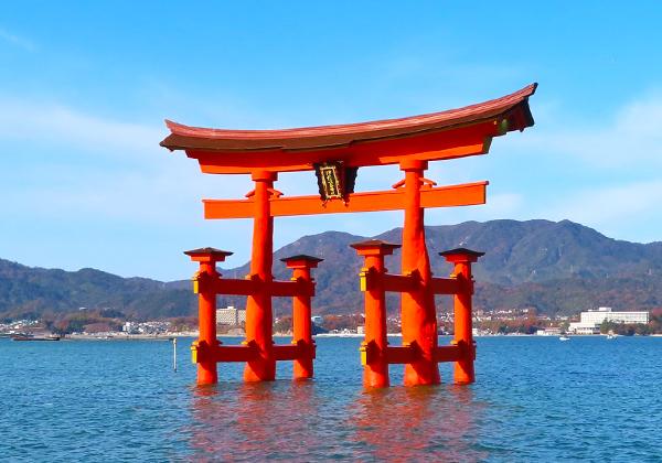 ���ܻ��ʡֵ���� ����ʸ���仺�ָ�����ҡ�