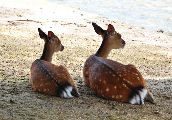 ��3���֤����⻶����פ��פ��ˤ��ڤ��߲�������