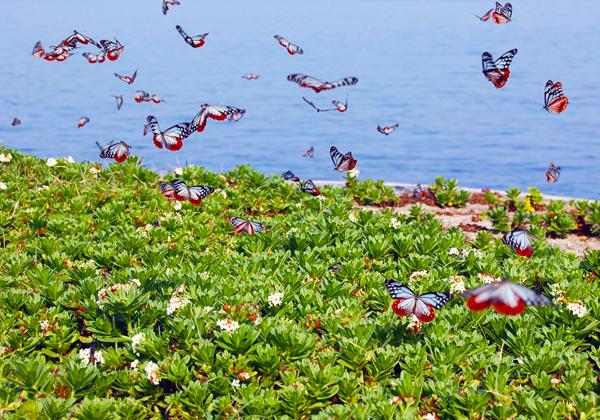 �������ޥ���վ��Ϥޤ�����Ѹ��Х��Ɀ�Ԥ��ꡪ