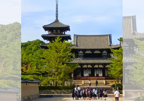 ��ȷ��Τ �������Ҥ椫����ϤȻ������β֤��礦�� 3����