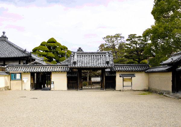 �������ҷ�Ω�������Ȥ����������ܻ���������������ϡ���º�ι������Ⱦ�����פˤ���ޤ��������ΤΥ�ʥꥶ�פȤ�Τ���뤽�����Фߤϡ��������������ҴѤ���Ԥο����Ť������䤷�Ƥ���ޤ����ܥĥ����Ǥϡ������ɤ���ǫ�ʲ���ȤȤ�ˡ���Ļ���夫��³��ͥ����ʩ��Ħ��η��򤸤ä���ȴվޤ��ޤ������ʤ��դ�뤪�Ѥ򤼤Ҵֶ�Ǥ�������������