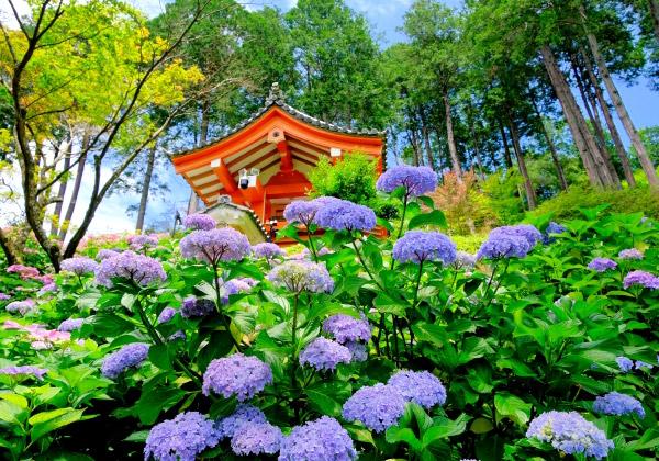 ��Ƥκ� ����������̾�뻰���ȱ����������ʸ��õˬ