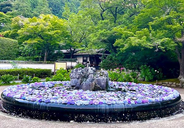 ÂçºåÉÜÃÓÅĻԤ˰ÌÃÖ¤¹¤ëµ×°Â»û¤Ï¡¢Ìó1300ǯÁ°¤Ë¿Àµµ¸µÇ¯¤Ë¹Ô´ð¤Ë¤è¤Ã¤Æ³«ÁϤµ¤ì¡¢¸å¤Ë¹°Ë¡Âç»Õ¶õ³¤¤¬ºÆ¶½¤·¤¿¤ÈÅÁ¤ï¤ë̾Ñë¤Ç¤¹¡£½é²Æ¤Î¥Ï¥¤¥é¥¤¥È¤ÏSNS¤Ç¤âÏÃÂê¤Î¡Ö¤¢¤¸¤µ¤¤É⤫¤Ù¡×¡£¸«º¢¤ò½ª¤¨¤¿»çÍÛ²Ö¤ò¶Æâ¤Î¶ñÂÃÓ¤ËÉ⤫¤Ù¤ë¤³¤Î¸÷·Ê¤Ï¡¢¿åÌ̤˹¤¬¤ë¿§¤È¤ê¤É¤ê¤Î²Ö¡¹¤¬¤Þ¤ë¤ÇËü²Ú¶À¤Î¤è¤¦¤Ê¸¸ÁÛÈþ¤òÁϤê½Ð¤·¤Þ¤¹¡£Îò»Ë¿¼¤¤Æ²Åã¤È²ÄÎù¤Ê²Ö¡¹¤Ïµ§¤ê¤ÈÌþ¤ä¤·¤ÎÀ»°è¤Ç¤¹¡£