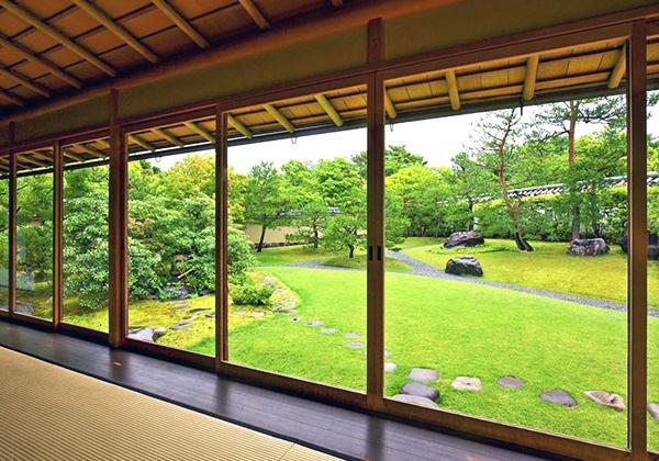 ɱϩ������沰���פ˰��֤��빥�ű�ϡ�ȯ��Ĵ���ǳ�ǧ���줿���߳����ϩ�򤽤Τޤ޳褫�����������������ͷ������Ǥ�����1���ڤ����Ϥˤϡ���ΰۤʤ�9�Ĥ����ब�����ꡢ�͵��ޡ��μ�������������ǽ�Ǥ��ޤ����ä�ɱϩ���ڷʤȤ����ָ沰�ߤ����פ�į��ϰ����ǡ���β���İ���ʤ�����˭���ʲ�ϭ���⤱�С����ͻ�����������䤫���ɤ�ޤ����벼Į����ˤ���������Ĵ�¤��롢������夯�ż�ζ��֤Ǥ���