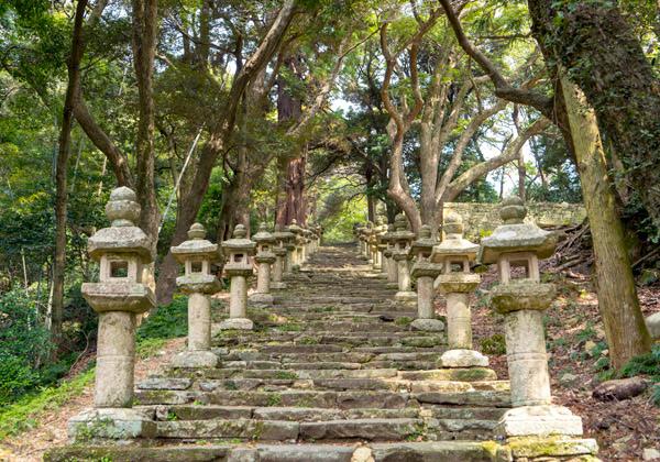 ���ܻ������ΰ�Ĥ˿���������������פˤ⡪