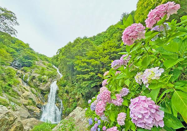 �彣���ؤ����ؤꡢ��������������ˬ�줿�ͤ����٤⿶���֤�ʤ��鵢�ä������餽��̾���դ�������������쎣�����������۲֤���ޤ�ޤ����ʢ����᡼����