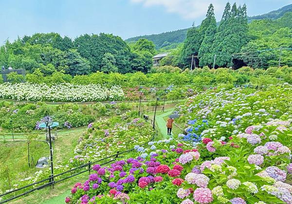 ¡ÚȬÌÌ»³¤¢¤¸¤µ¤¤±à¡Û±à¼ç¤¬¼ñÌ£¤Ç½¸¤á¤Æ¤¤¤¿»çÍÛ²Ö¤ò°ìÈ̤ÎÊý¤Ë¤â³Ú¤·¤ó¤ÇÌ㤪¤¦¤È2022ǯ¤Ë¥ª¡¼¥×¥ó¤·¤Þ¤·¤¿¢ö¡Ê¢¨¥¤¥á¡¼¥¸¡Ë