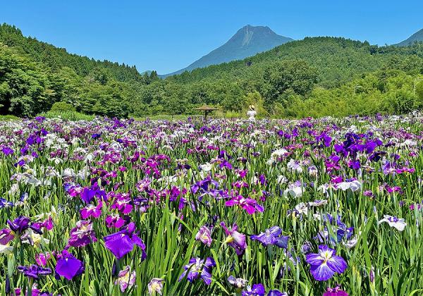 �ڿ��ڽ��С�ɸ����600�������ο���Ū��̾������̾�¶��˶彣���ؤβ֤��礦��̾��Ȥ���ͭ̾�Ǥ����ʢ����᡼����