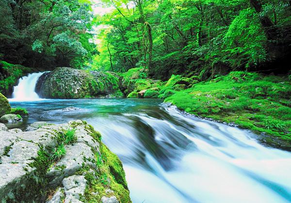 ����ϤȤ��Ƥ�͵��ε��ӷ�ë�ǻ����򤪳ڤ��ߡ�