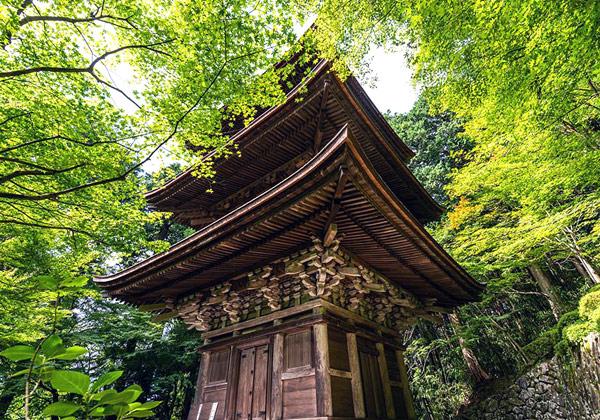 ���컰���ΰ�ġ�����ػ���7��ζ���Ͽ������Ф���ޤ졢��ƻ�˶�����¿�����뤬�ä䤫�ʲ����򱿤Ӥޤ�������θ��ɤ����ϡ��������鹾�ͽ���ˤ������ۤ��줿������Ʋ�ؤ�³��̾������Ǥ���������ͷ��������ϡ��˳ھ��ڤθ��ʤ�̤����ȸ���졢�ġ��Ȥ����ݤȿ��̤ε��������̤��ä��Ф��ޤ���ʿ�»�����³���ż����ǡ�̾�����Ȥ��䤷���ФηݽѤȡ����Ϥ褤�����򿴤椯�ޤǤ���ǽ����������