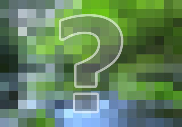 Å·Á³¥¯¡¼¥é¡¼¡ª¹ÍÕ¼ù¤Çʤ¤ï¤ì¤¿¡»¡»¡»·Ìë¤Ë¤â¡ª