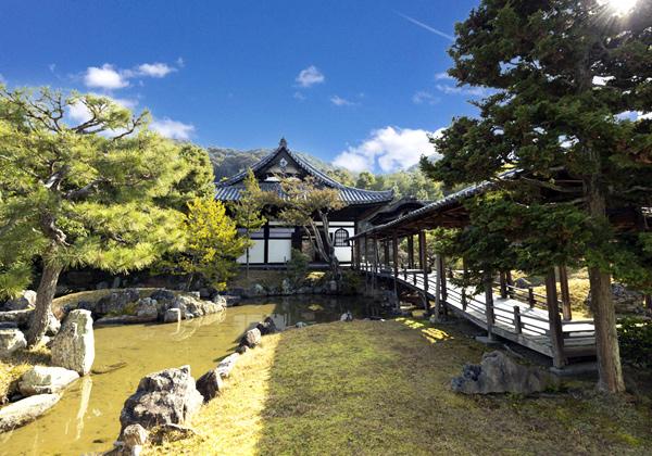 ������ͤͤ���˴���ס�˭�ý��Ȥؤο����������Ʒ�Ω����������������ϡ����ؤ�嫤��Ť���©�Ť������ߤλ����Ǥ�������θ��ɤ����ϡ���������ο�򽸤᤿�ֹ���������ס�������϶����������������Ʋ���ͥ���˺̤�ޤ���̾�������ٱ󽣤μ�ˤ�������į���С��͵��ޡ��ξ�ʤȤȤ�ˡ��ͤ��ͤβ��䤫�ʻ�������ޤ��褦�ʿ��Ϥˡ���ˤη�ư����ۤ����ֻ��ΰ��η��פ򡢿��Ť���é�äƤߤޤ��󤫡�