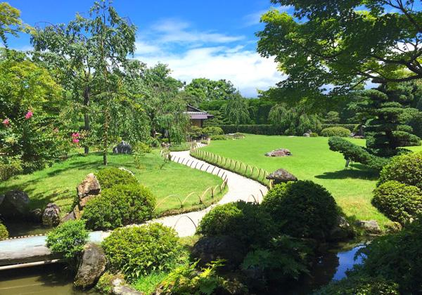 �Ƥ��۸����Ф��Ǥ��롢7��ξ���ܡָ���ʪ�� �֤����ס����λ����ϡ��ä䤫�ʡֲƱۤ�㱡פ�����ȤȤ�ˡ��Ӥ˺餭�ؤ�����ʿ�ϡ��������ޤ��ޤ�������ʪ��������줿�Ƥβ֡��������ɤ졢�ġ����Ф��ڡ������Ϥ褤�ڱ�����ޤ�����̿�Ϥ��դ����ФΥ���ǡ������פȡ��ż��ù�������դηʿ��ϡ��뤵��˺�줵�������ô����Ťε�²�Ⱖ�����ä򴶤�����ʲƤ򡢸޴���̣�臘ι�Ϥ������Ǥ��礦����