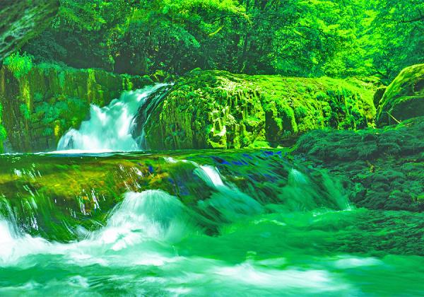 ������̾��ɴ�����Ȏ����ܿ�����ο�ɴ���������ꤵ��Ƥ�����ӷ�ë��ŷ�������顼���δ�♬�ʢ����᡼����