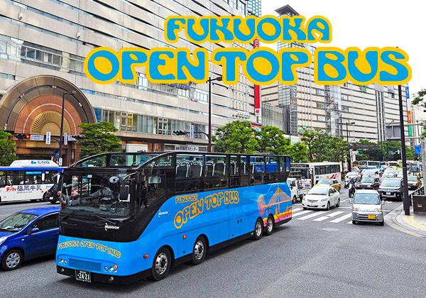 ��ʡ�������ץ�ȥåץХ����Ͼ夫��ι⤵��3�᡼�ȥ롪������������ܤ�Ū���Х������ɤ�Ʊ�衪ƻ��ΰ���ǳڤ��ޤ��Ƥ���ޤ���