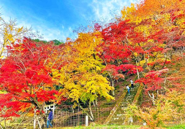 ���̶彣ȯ��ۤ���ä����Ϸ̹��ճ�����ƶ��ѥƥ������ȤΤ���������ڥ����Х�����