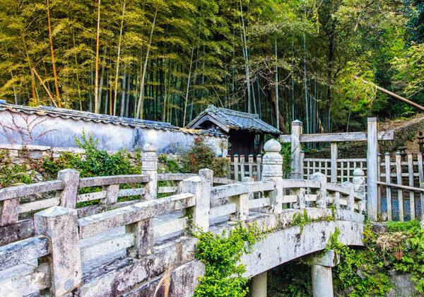 幽玄な雰囲気漂う「万松院」はガイド同行で散策!