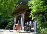 䲰4